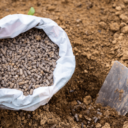 Organic Manure